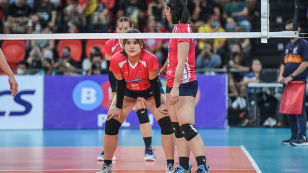 周琦的表现 周琦的表现