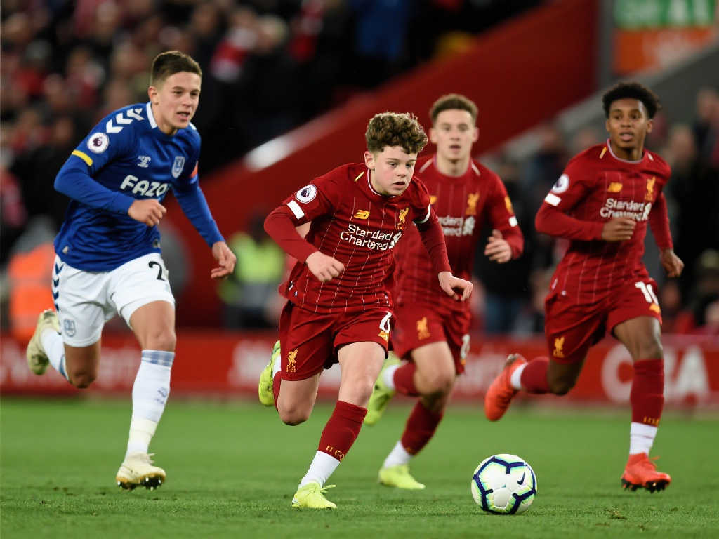 素质教育的 素质教育的